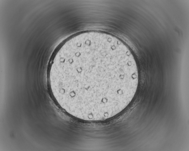 X0000111030980200908061432