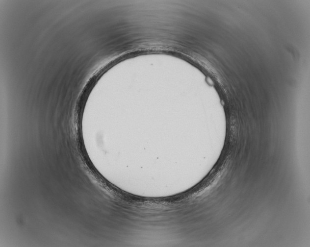 X0000111030981200908061432