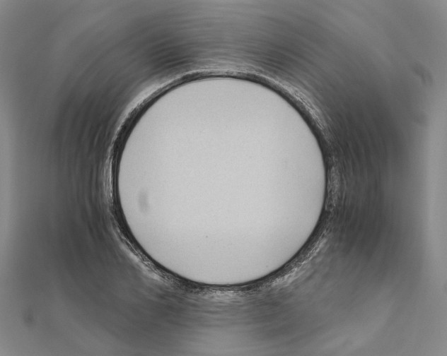 X0000111030982200908061432