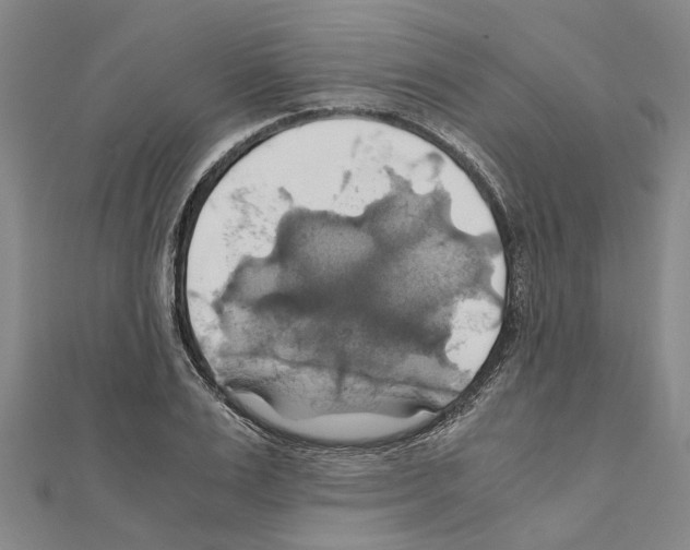 X0000111030983200908061432