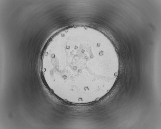 X0000111030984200908061432