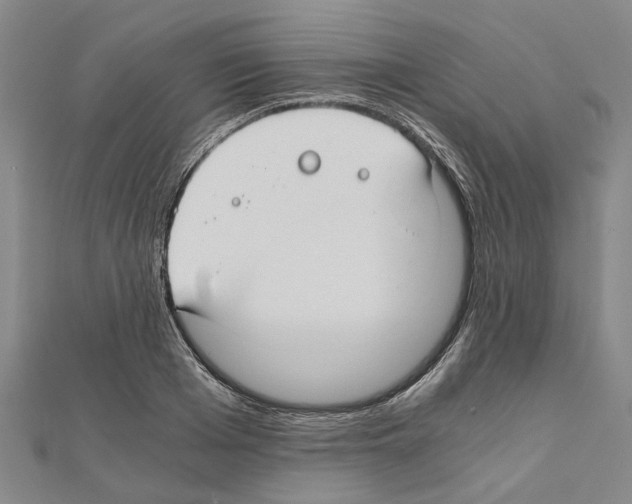 X0000111030985200908061432