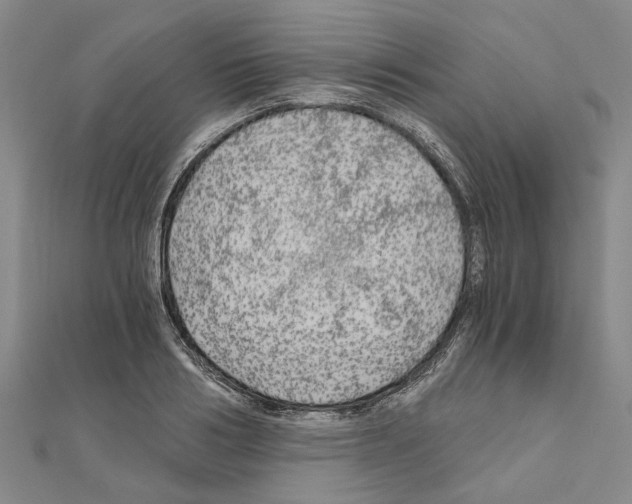 X0000111030986200908061432