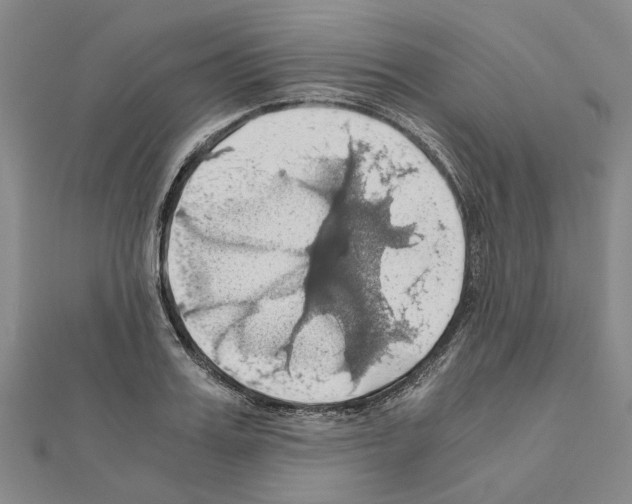 X0000111030987200908061432