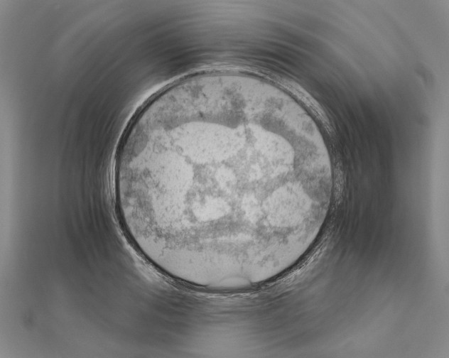 X0000111030988200908061432