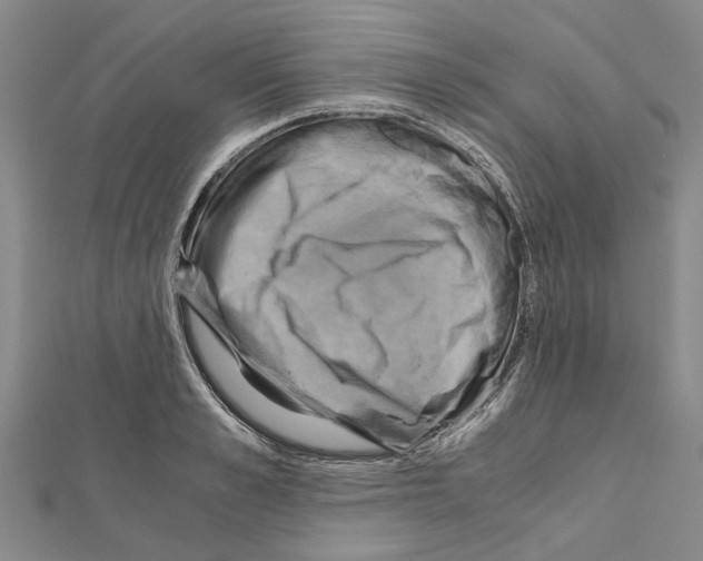 X0000111030989200908061432
