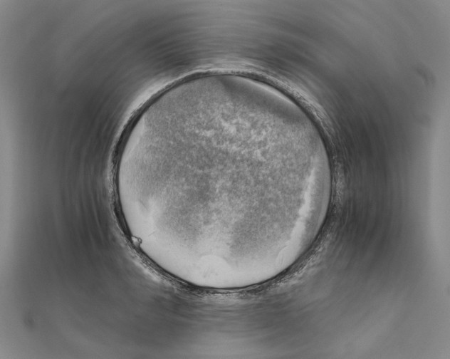 X0000111030990200908061432