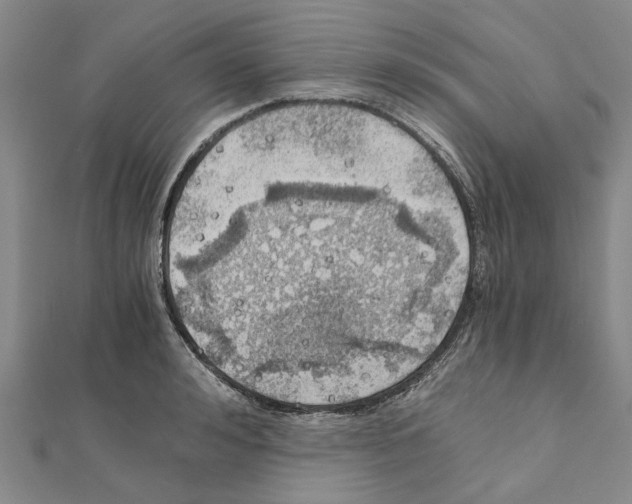 X0000111030992200908061432