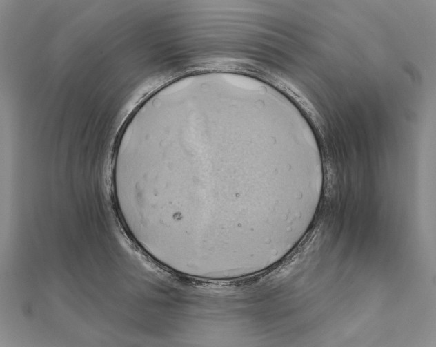 X0000111030994200908061432