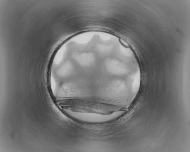X0000111030995200908061432