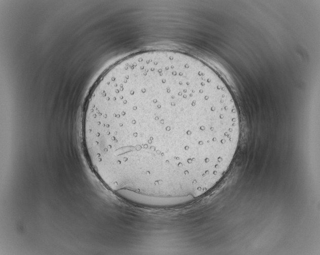 X0000111031000200908061431