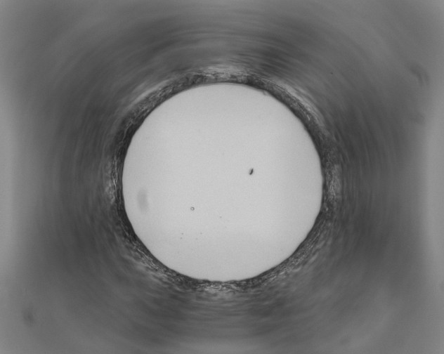 X0000111031015200908061431