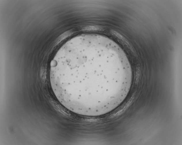 X0000111031017200908061431