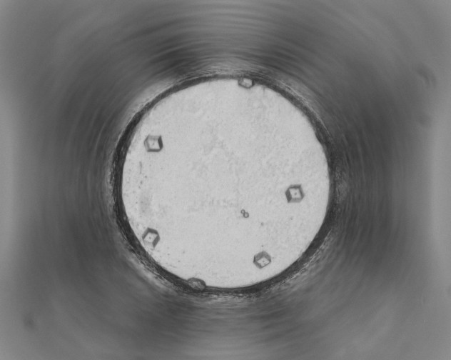 X0000111031026200908061431