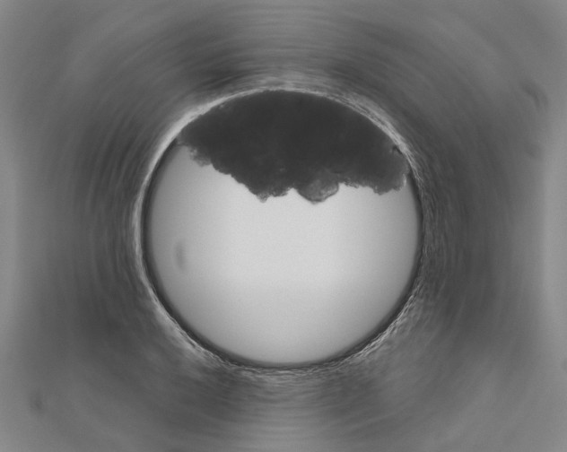 X0000111031032200908061431