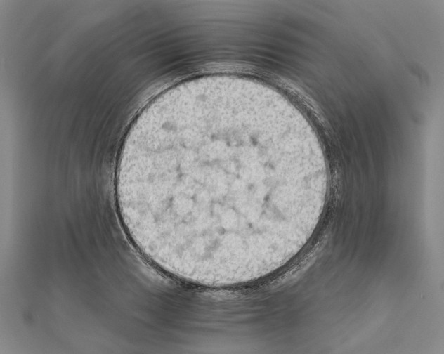 X0000111031033200908061431