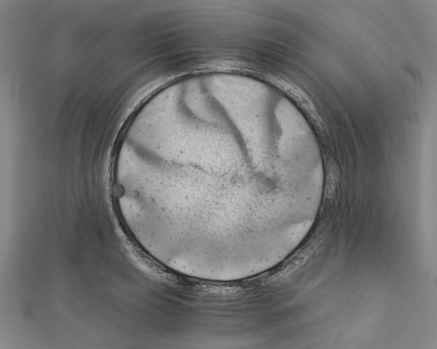 X0000111031039200908061431