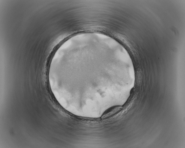 X0000111031071200908061431
