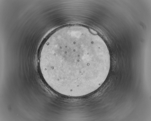 X0000111031076200908061430