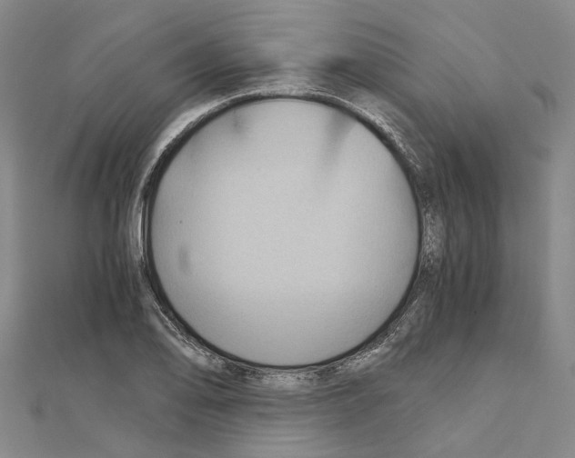 X0000111031078200908061430