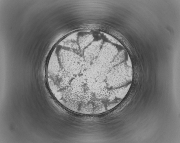 X0000111031083200908061430