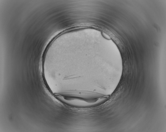 X0000111031084200908061430