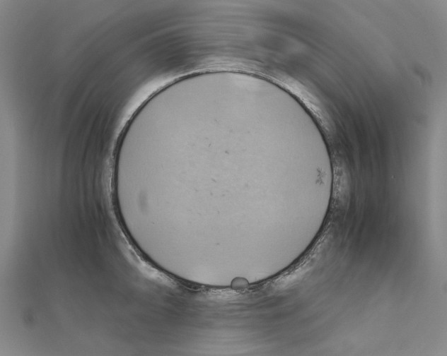 X0000111031094200908061430