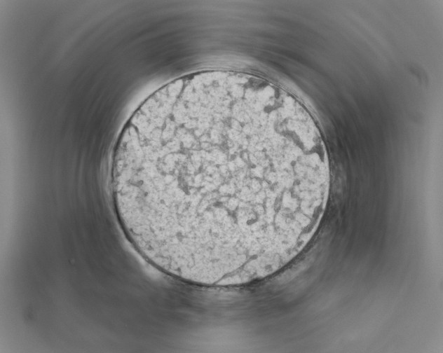 X0000111031103200908061430