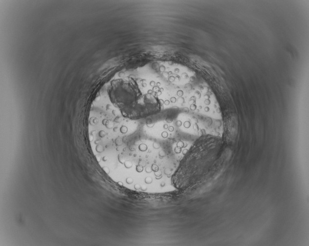 X0000111031105200908061429