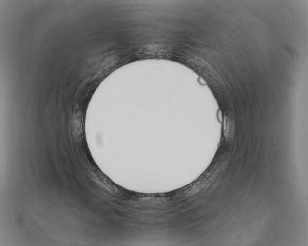 X0000111031107200908061429