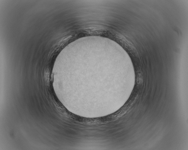 X0000111031108200908061429