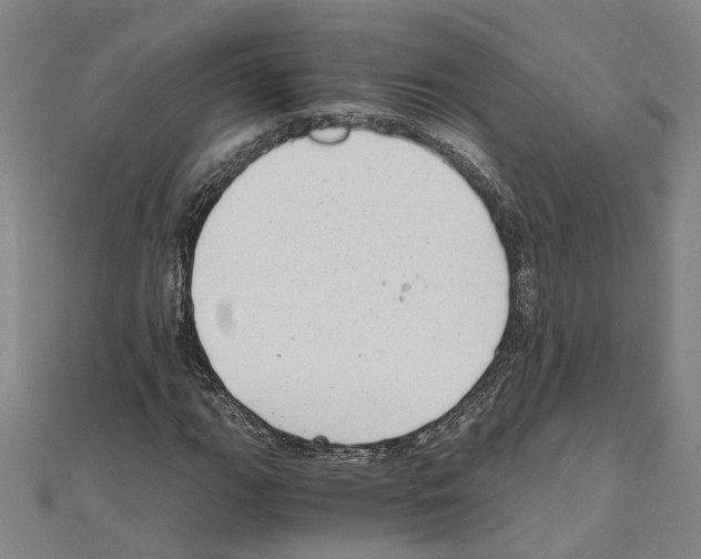X0000111031111200908061430