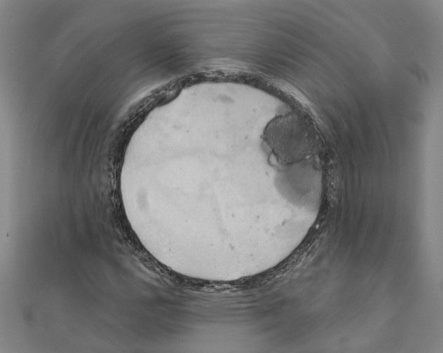 X0000111031112200908061430