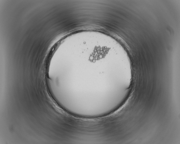 X0000111031114200908061430