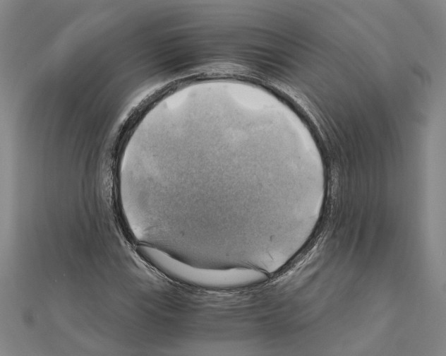 X0000111031115200908061430