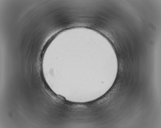 X0000111031119200908061430