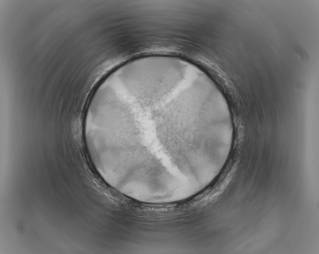X0000111031121200908061430