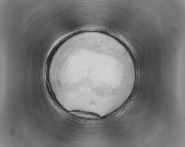 X0000111031124200908061430