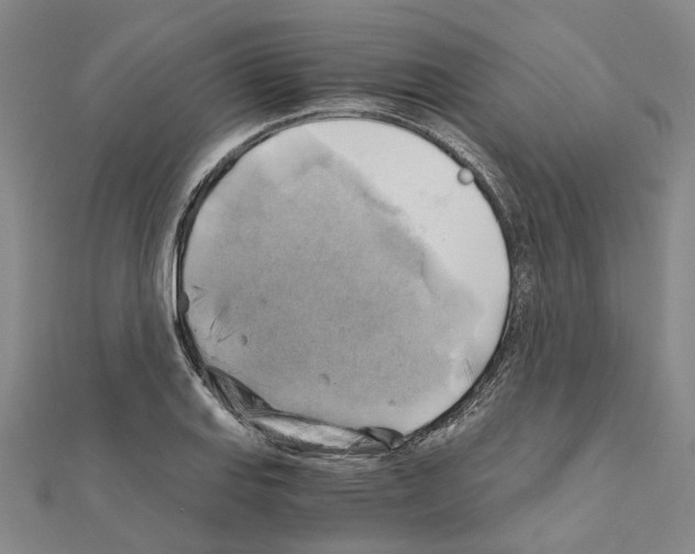 X0000111031127200908061430
