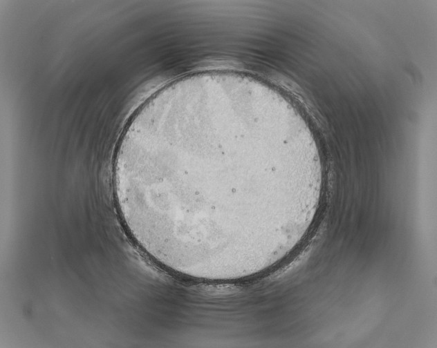 X0000111031129200908061430