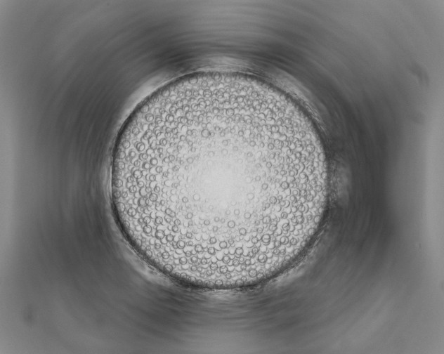 X0000111031130200908061430