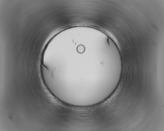 X0000111031138200908061430