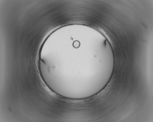 X0000111031140200908061430