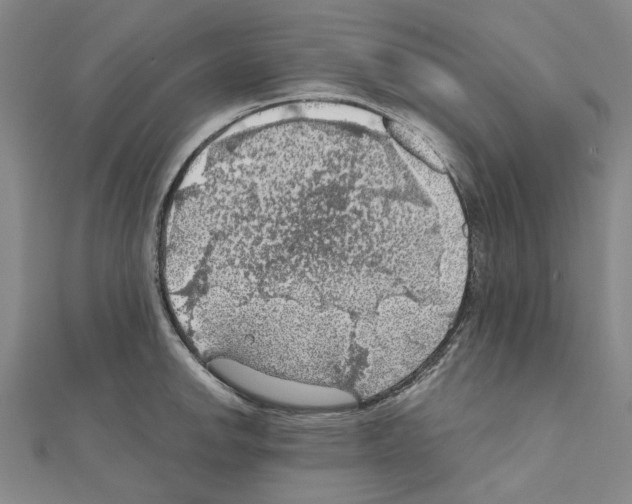 X0000111031142200908061430