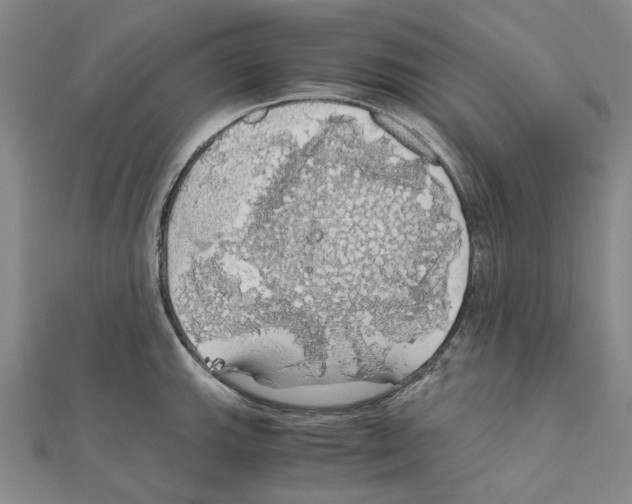 X0000111031143200908061430