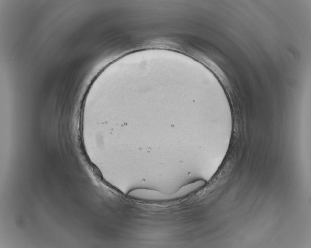 X0000111031144200908061430