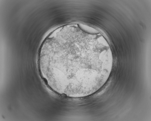 X0000111031149200908061430