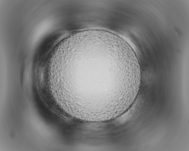 X0000111031150200908061430