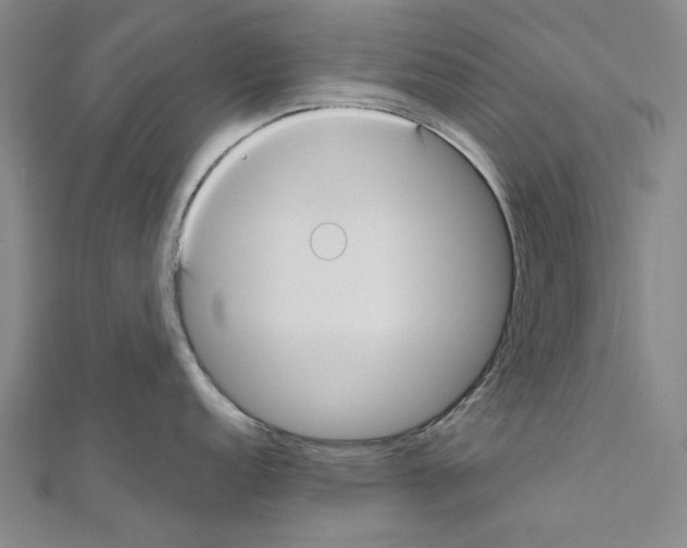 X0000111031152200908061430