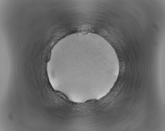 X0000111031153200908061429